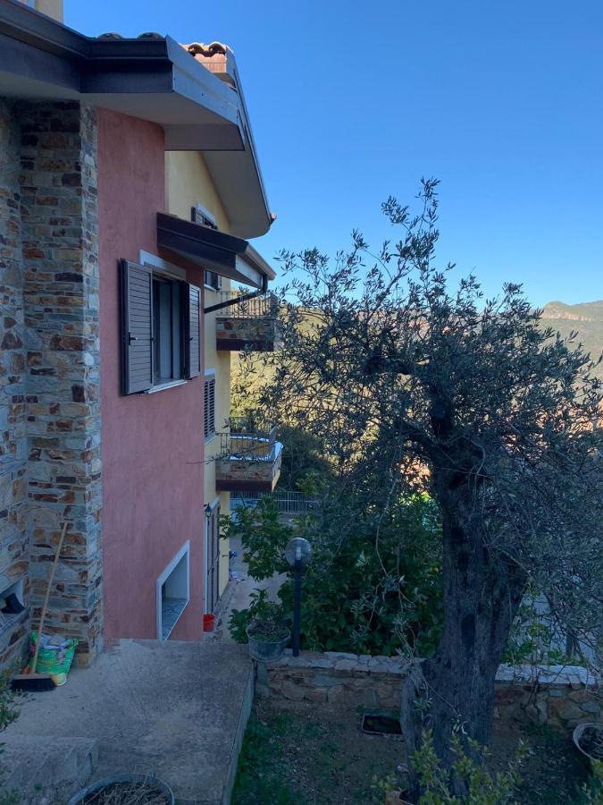 Il Vecchio Ulivo Sa Tanca Bed & Breakfast Ussassai Luaran gambar